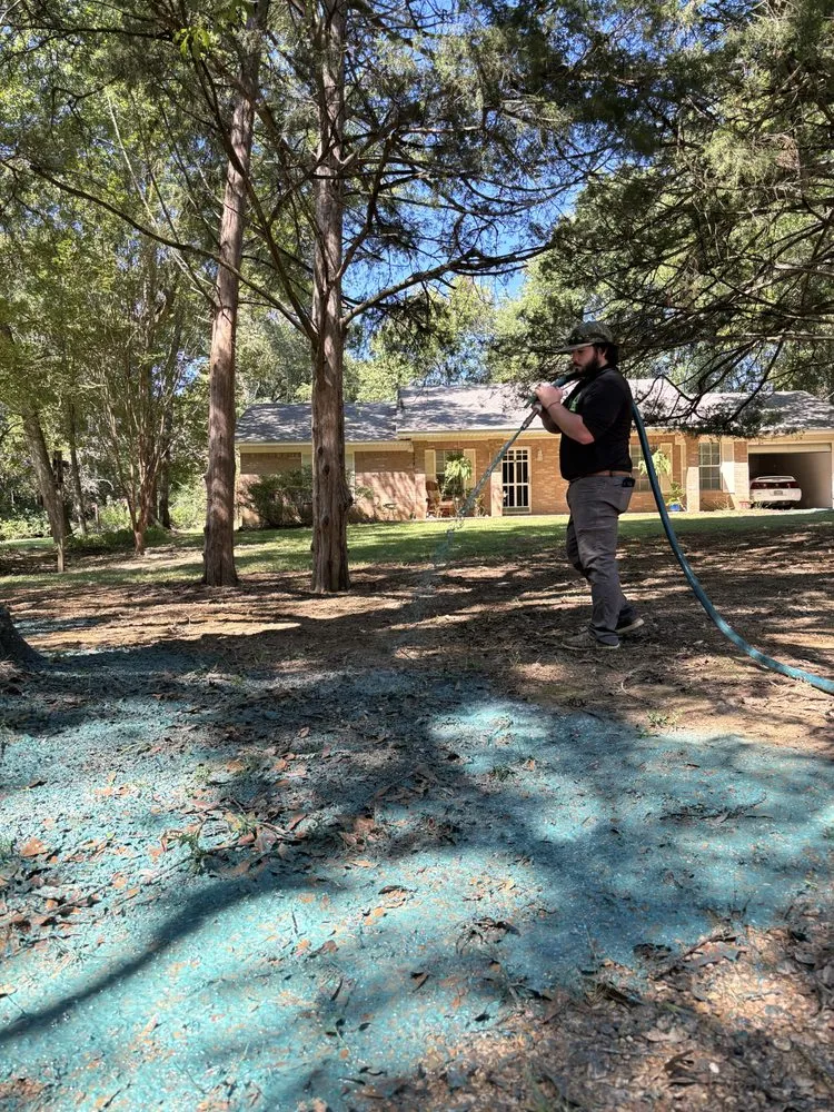 Local landscape design in Ridgeland, MS by Seed and Soil Solutions