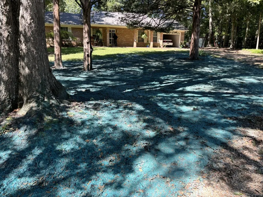 Trusted lawn mowing service in Ridgeland, MS - Seed and Soil Solutions