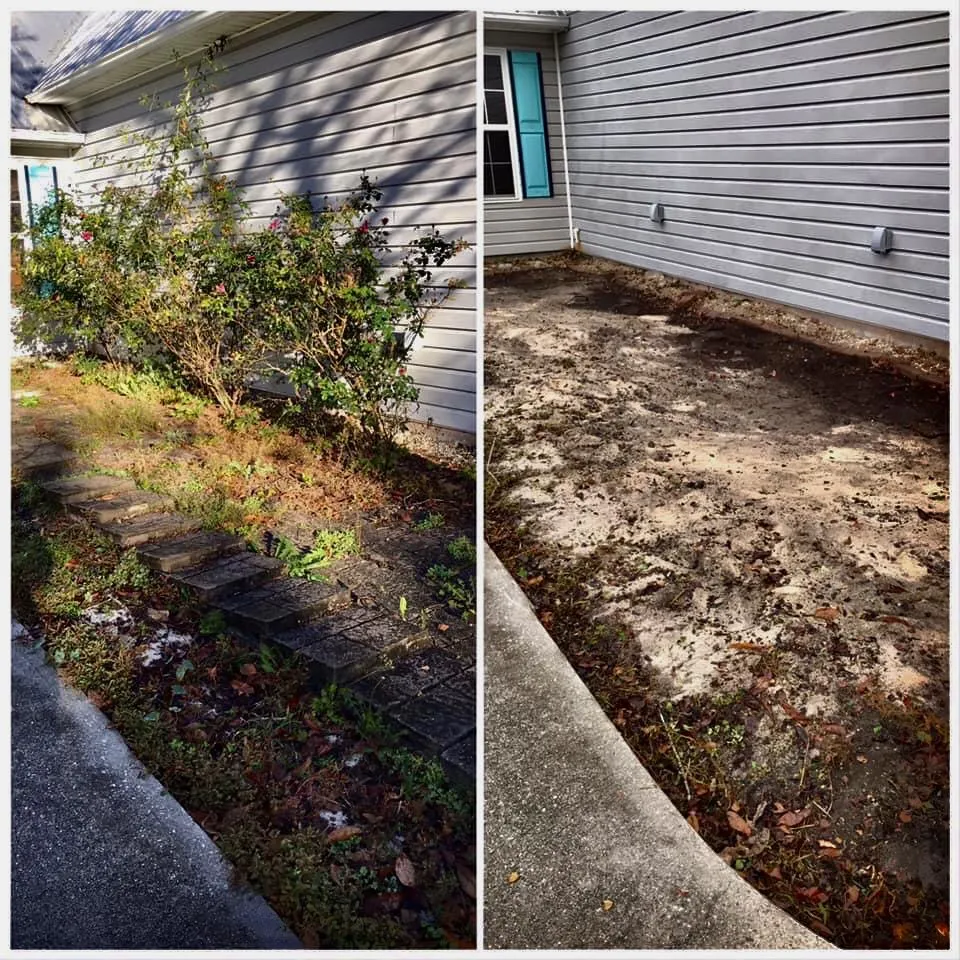 Custom landscaping services for residential properties in Wilmington, NC by Seed and Spark Landscaping