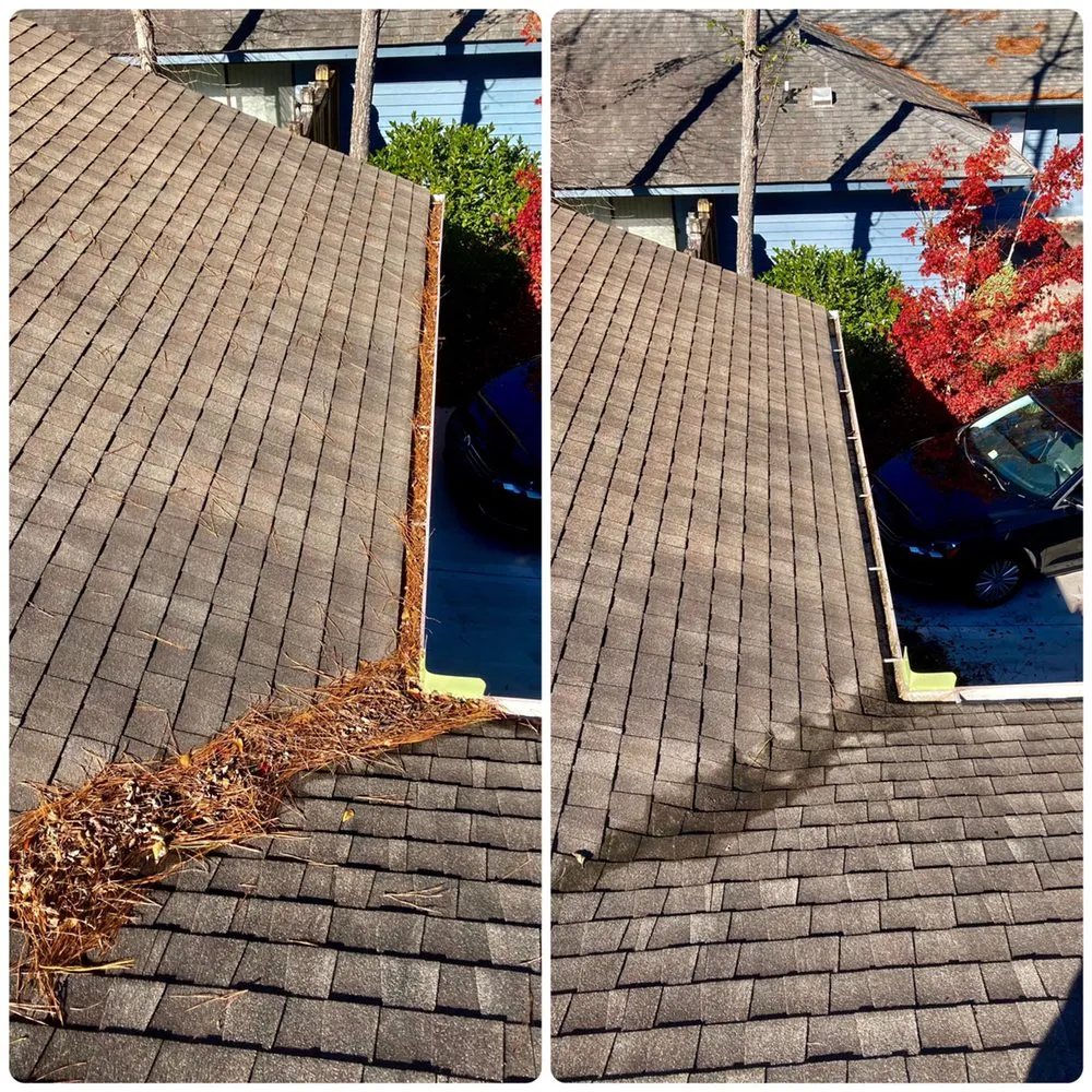 Top-rated yard cleanup service in Wilmington, NC - Seed and Spark Landscaping