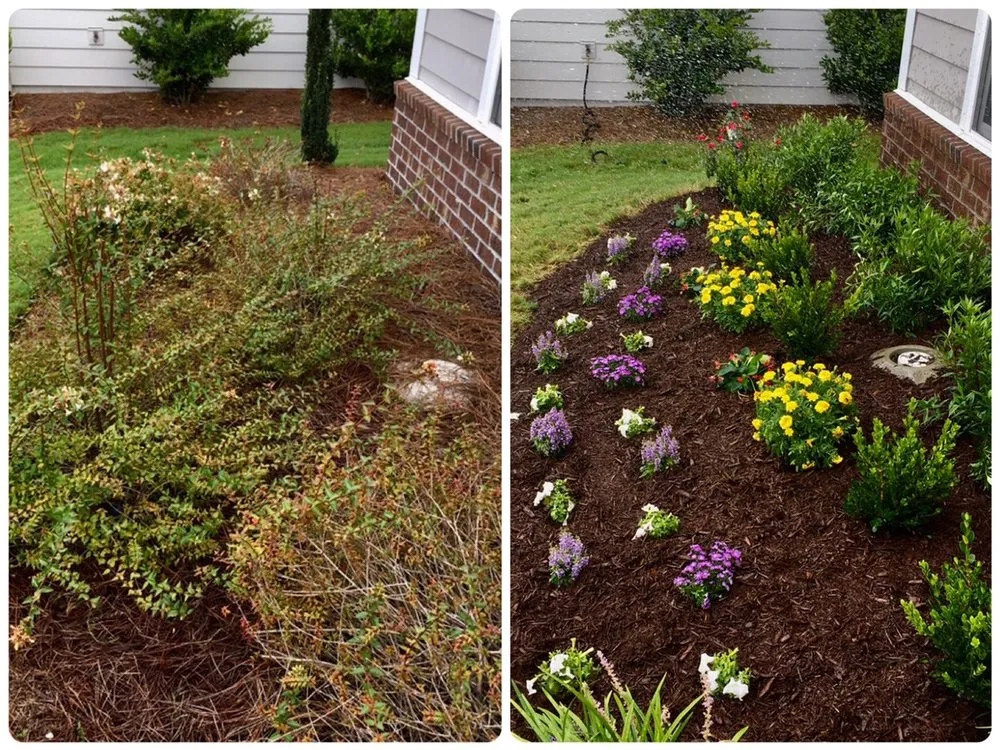 Custom yard maintenance for year-round maintenance across Wilmington, NC - Seed and Spark Landscaping