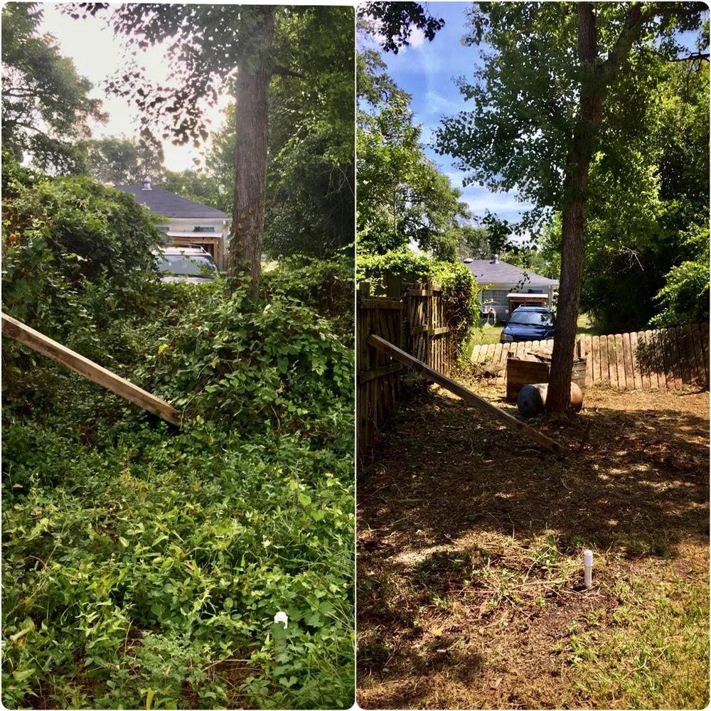 Professional residential landscaping for outdoor upgrades in Wilmington, NC by Seed and Spark Landscaping