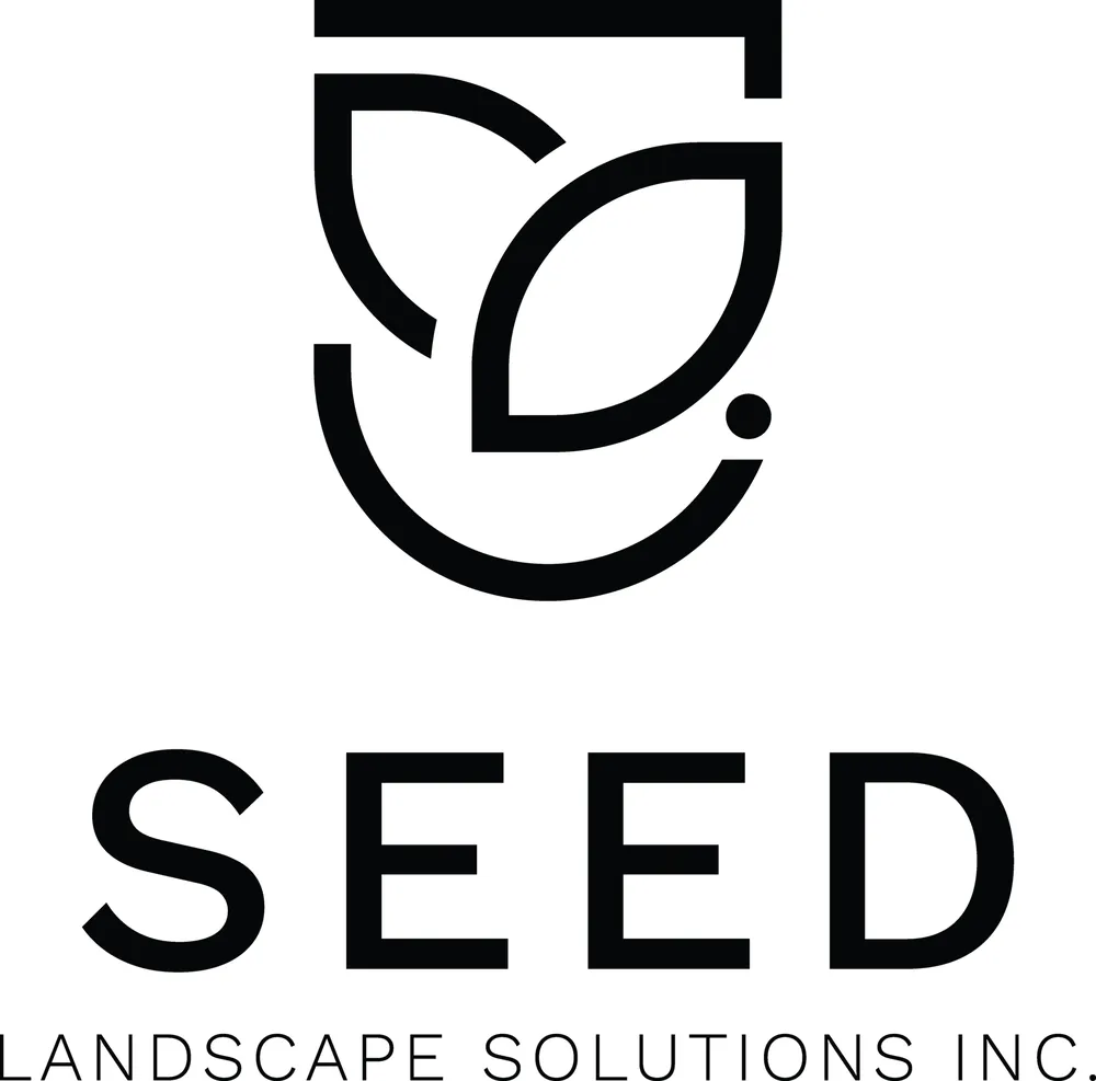 Custom landscaping services experts serving Aliso Viejo, CA - SEED Landscape Solutions