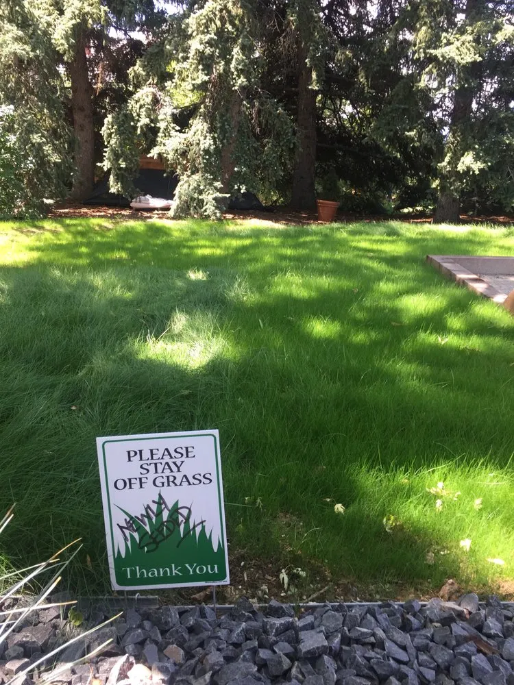 Trusted outdoor landscaping in Golden, CO - Seed Sprayers