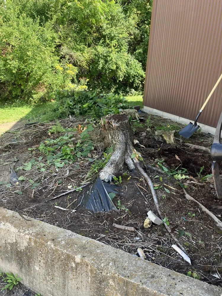 Trusted landscape design experts serving Matthews, NC - Seeds Lawn & Garden