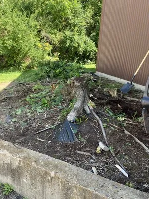 Seeds Lawn & Garden Logo