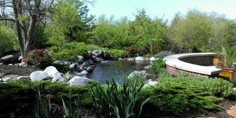 Custom yard cleanup service near you across Lincoln, NE - Seeds Of Life