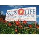 Affordable lawn care service in Lincoln, NE by Seeds Of Life
