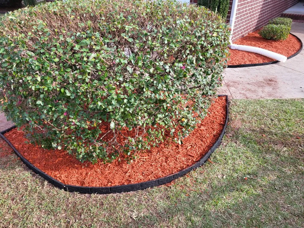 Top-rated yard cleanup service in Effingham, SC by Seegars lawn Service