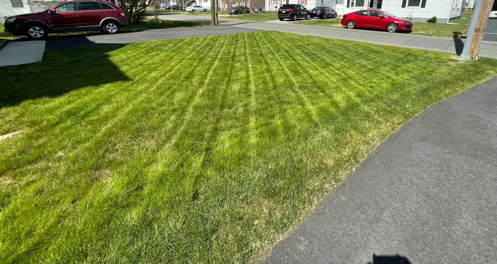 Expert lawn care service near you in Richmond, VA by SeeGreen Landscape