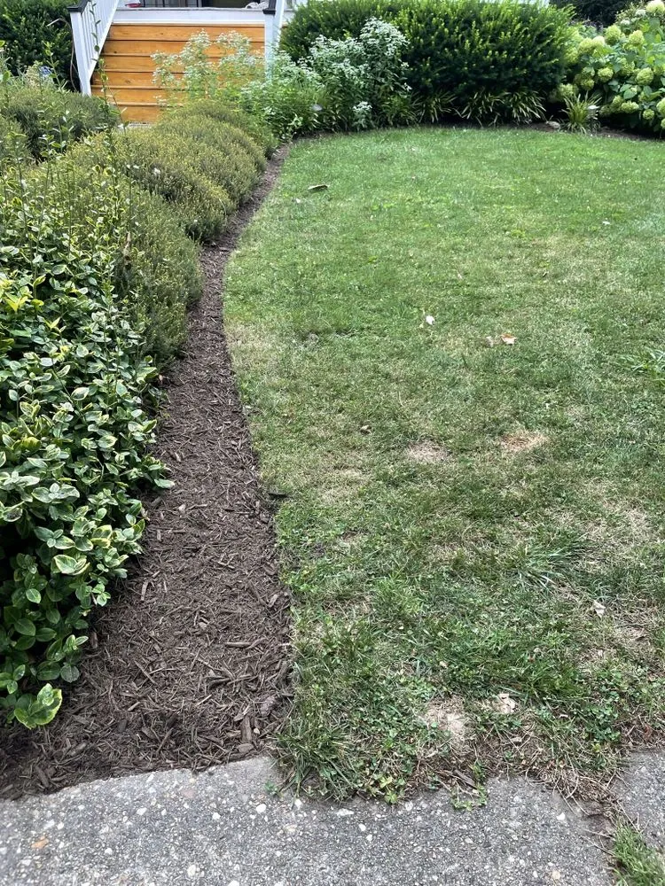 Top-rated garden landscaping experts serving Richmond, VA - SeeGreen Landscape