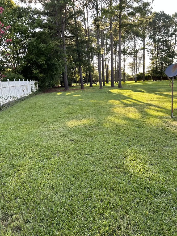Local lawn care service for homes across Warner Robins, GA - Seeking Landscaping