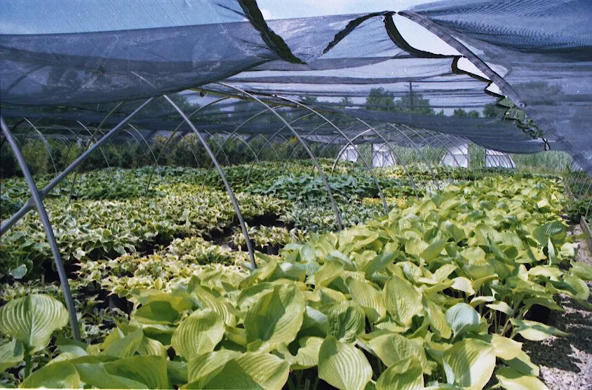 Professional landscaping services in Hilliard, OH by Seely's Landscape Nursery