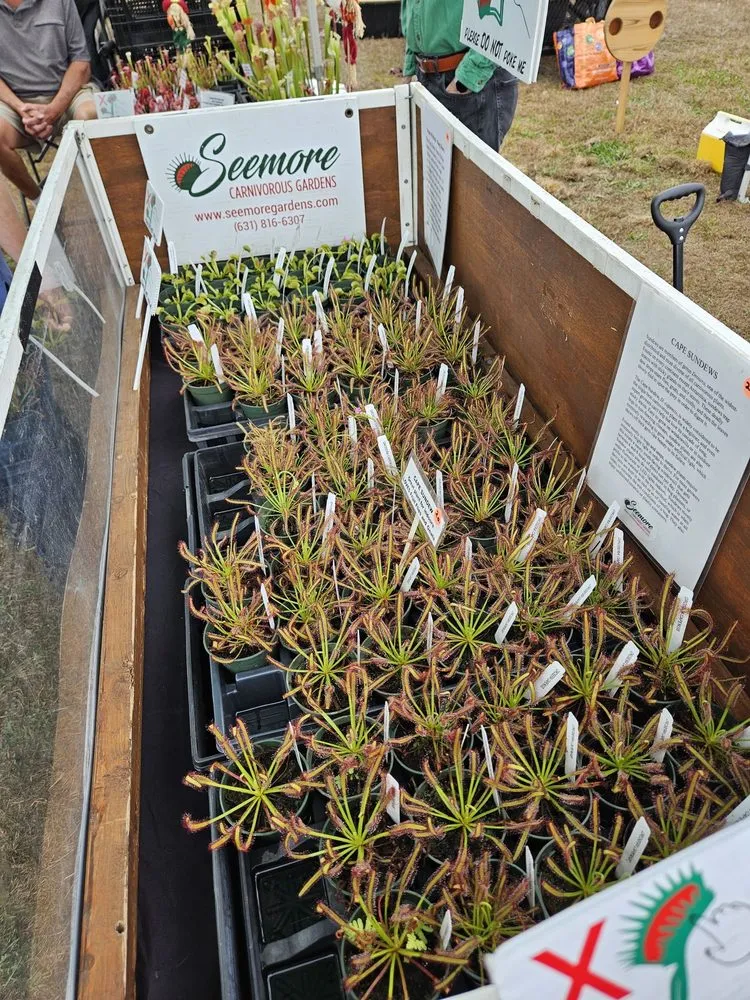 Custom garden landscaping with custom design in Saint James, NY by Seemore Carnivorous Gardens