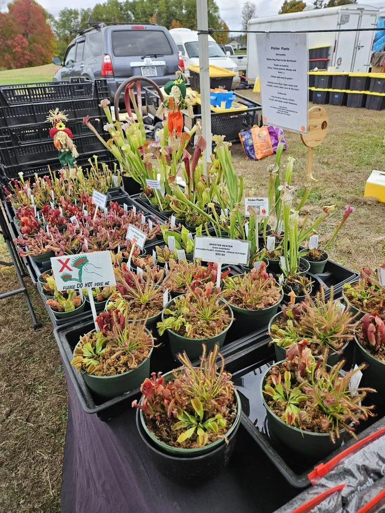 Trusted residential landscaping in Saint James, NY - Seemore Carnivorous Gardens