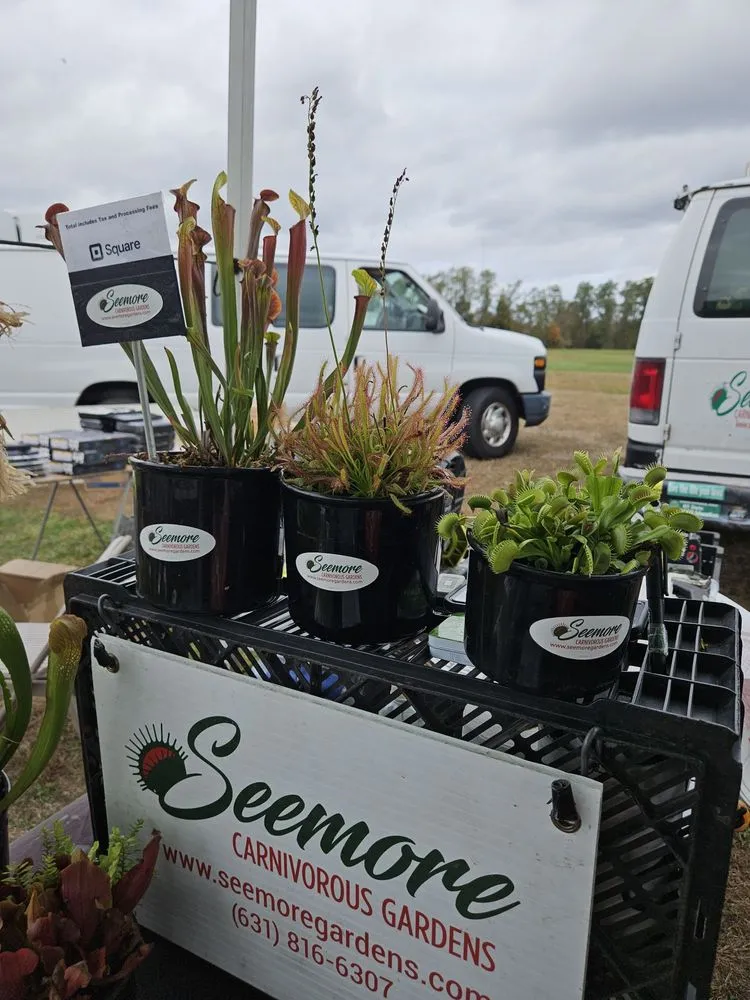 Trusted lawn care service in Saint James, NY - Seemore Carnivorous Gardens