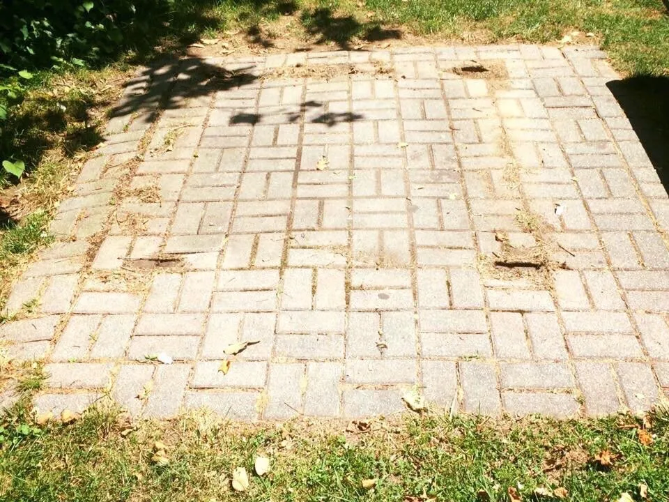 Trusted lawn care service for outdoor upgrades in Finksburg, MD by See's Landscaping