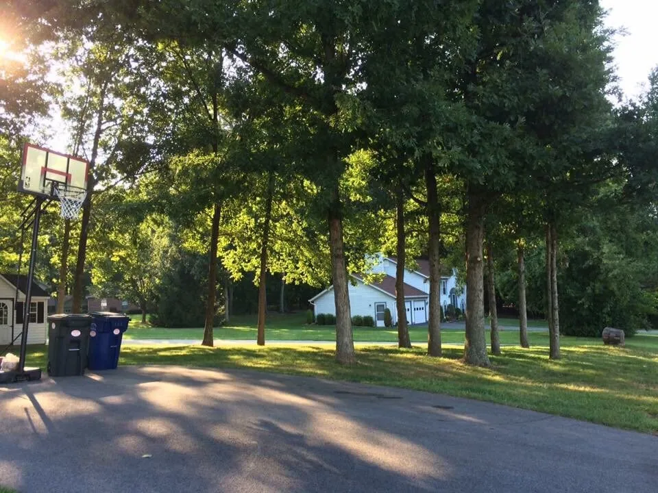Professional yard cleanup service in Finksburg, MD by See's Landscaping