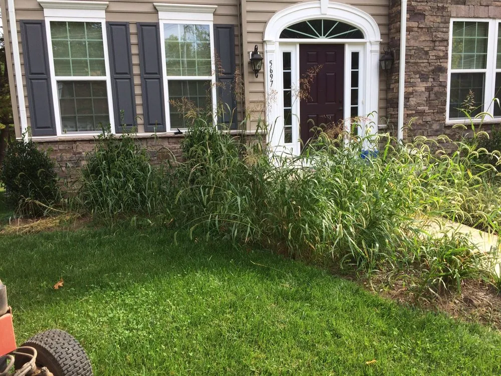 Affordable outdoor landscaping experts serving Finksburg, MD - See's Landscaping