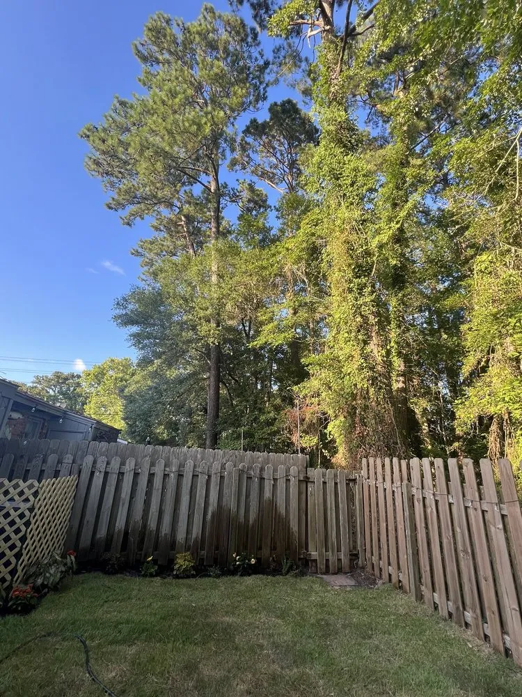 Local yard maintenance near you across Myrtle Beach, SC - SEF Landscaping And Irrigation