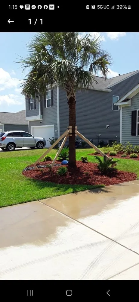 Affordable garden landscaping experts serving Myrtle Beach, SC - SEF Landscaping And Irrigation
