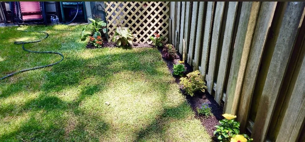 Trusted yard maintenance for year-round maintenance across Myrtle Beach, SC - SEF Landscaping And Irrigation