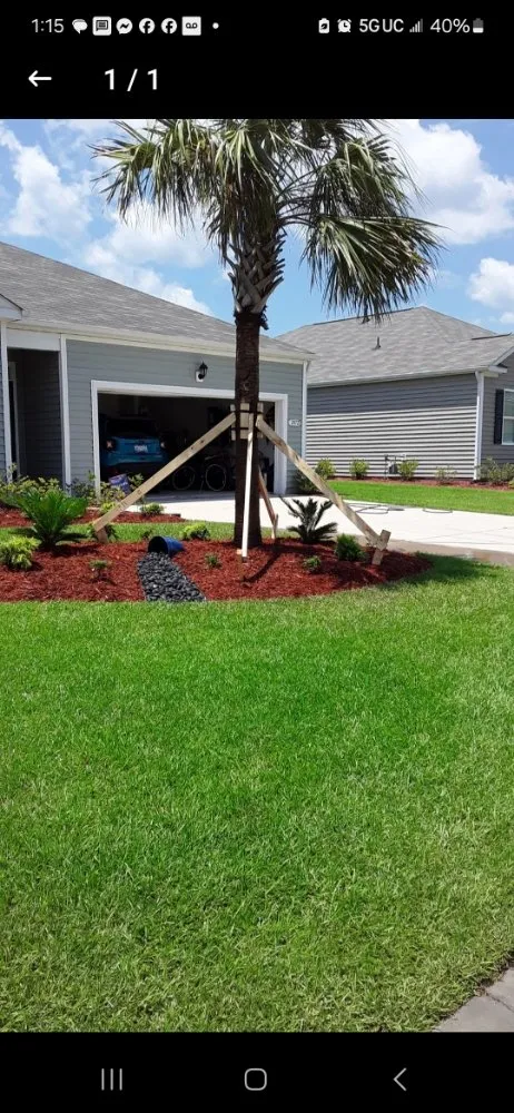 Expert lawn care service for beautiful yards across Myrtle Beach, SC - SEF Landscaping And Irrigation