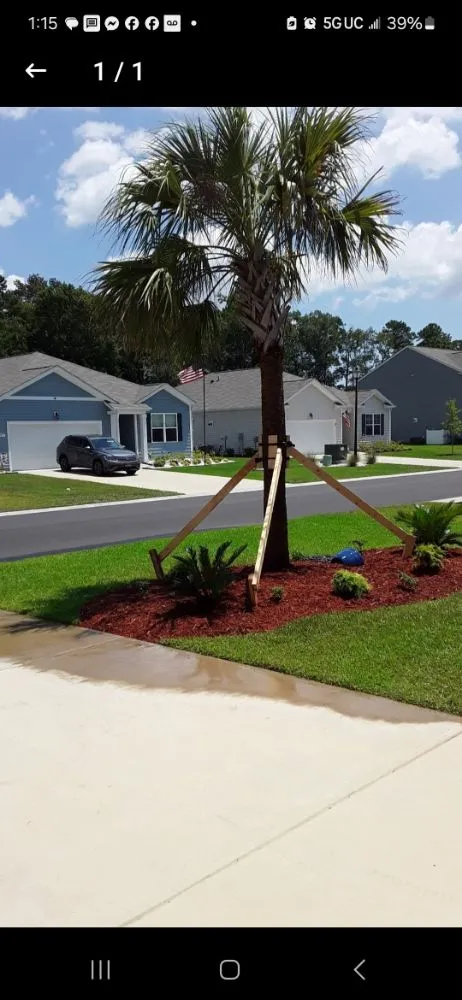 Local residential landscaping in Myrtle Beach, SC by SEF Landscaping And Irrigation