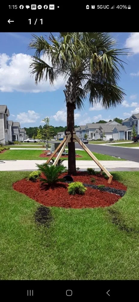 Affordable yard cleanup service experts serving Myrtle Beach, SC - SEF Landscaping And Irrigation