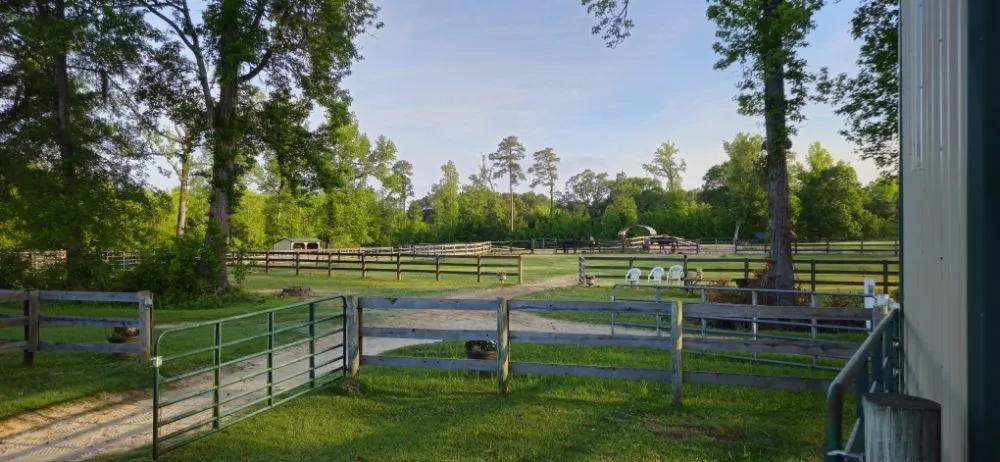 Local landscape design in Myrtle Beach, SC by SEF Landscaping And Irrigation