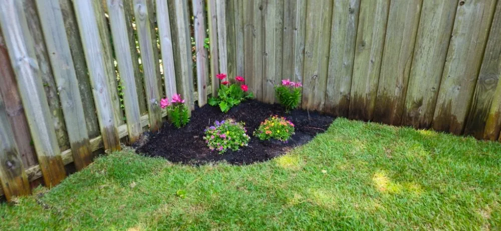 Custom yard maintenance experts serving Myrtle Beach, SC - SEF Landscaping And Irrigation
