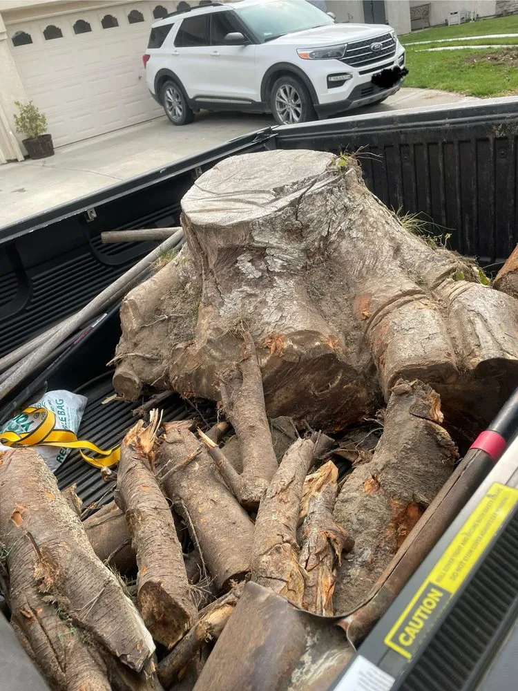 Custom lawn care service for outdoor upgrades across Modesto, CA - SeGa Bros Gardening Service & Landscaping