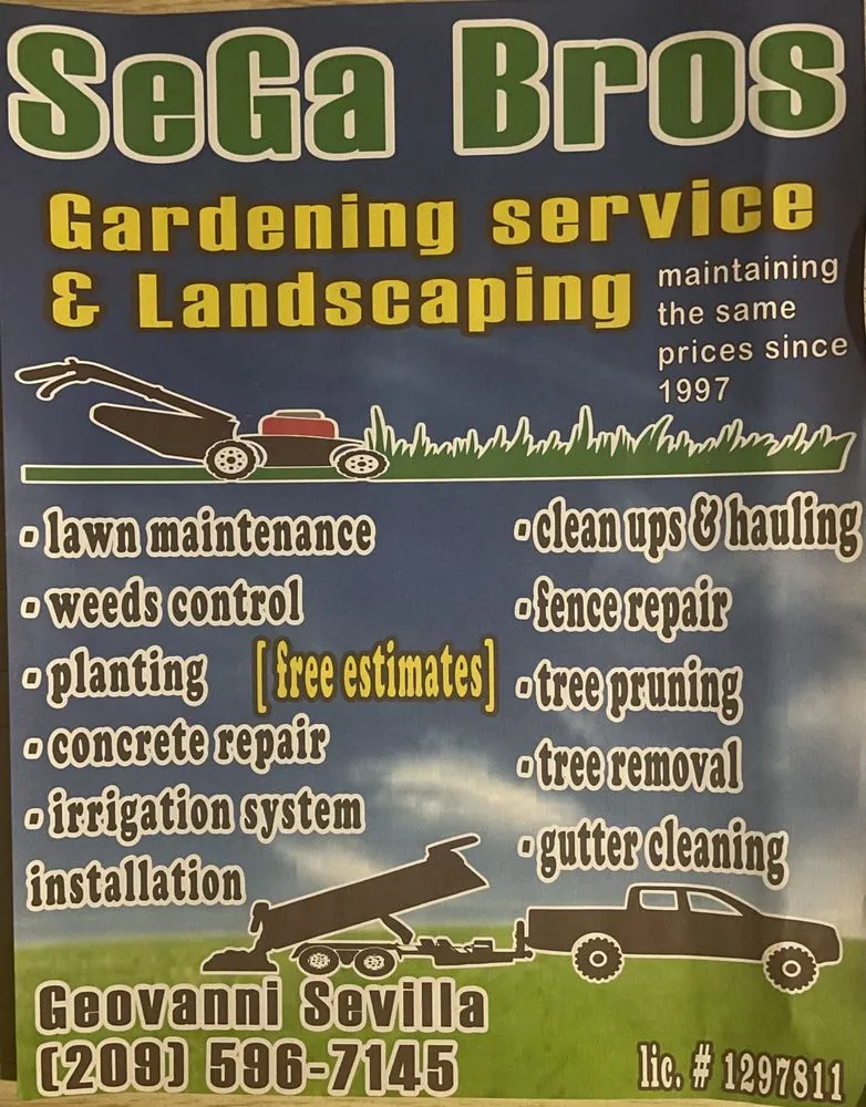 Custom yard cleanup service in Modesto, CA by SeGa Bros Gardening Service & Landscaping