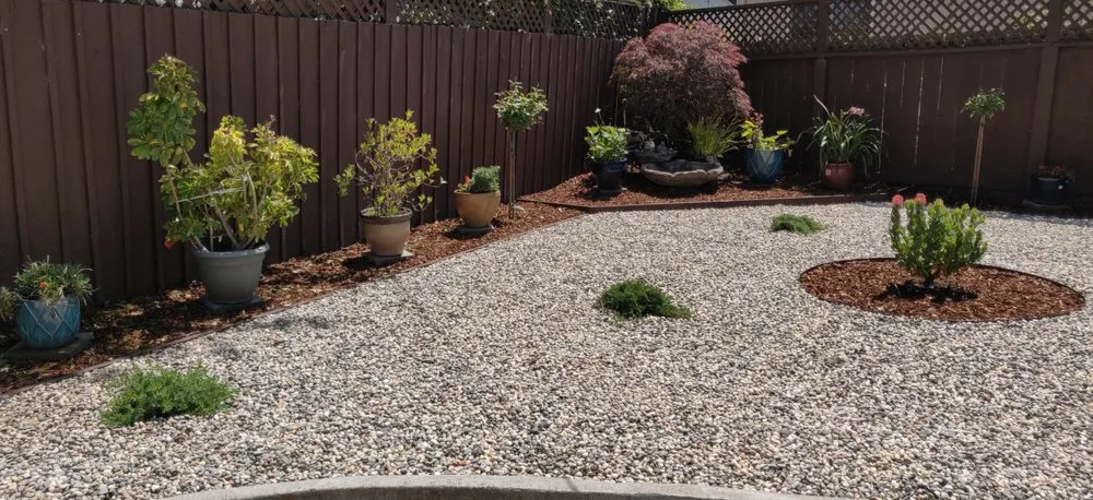 Custom lawn mowing service experts serving Colma, CA - Segale & Cerini