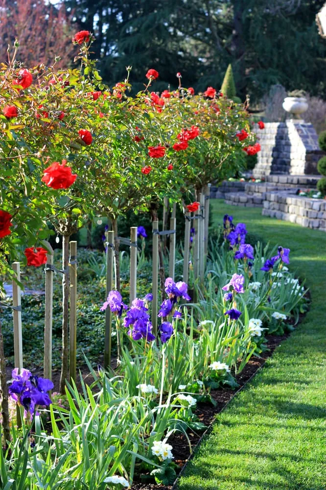 Trusted garden landscaping for outdoor upgrades across Colma, CA - Segale & Cerini