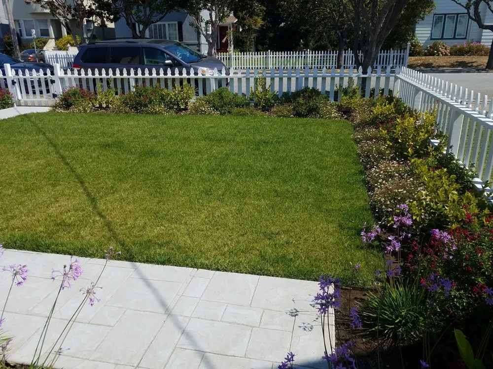 Trusted lawn care service experts serving Colma, CA - Segale & Cerini