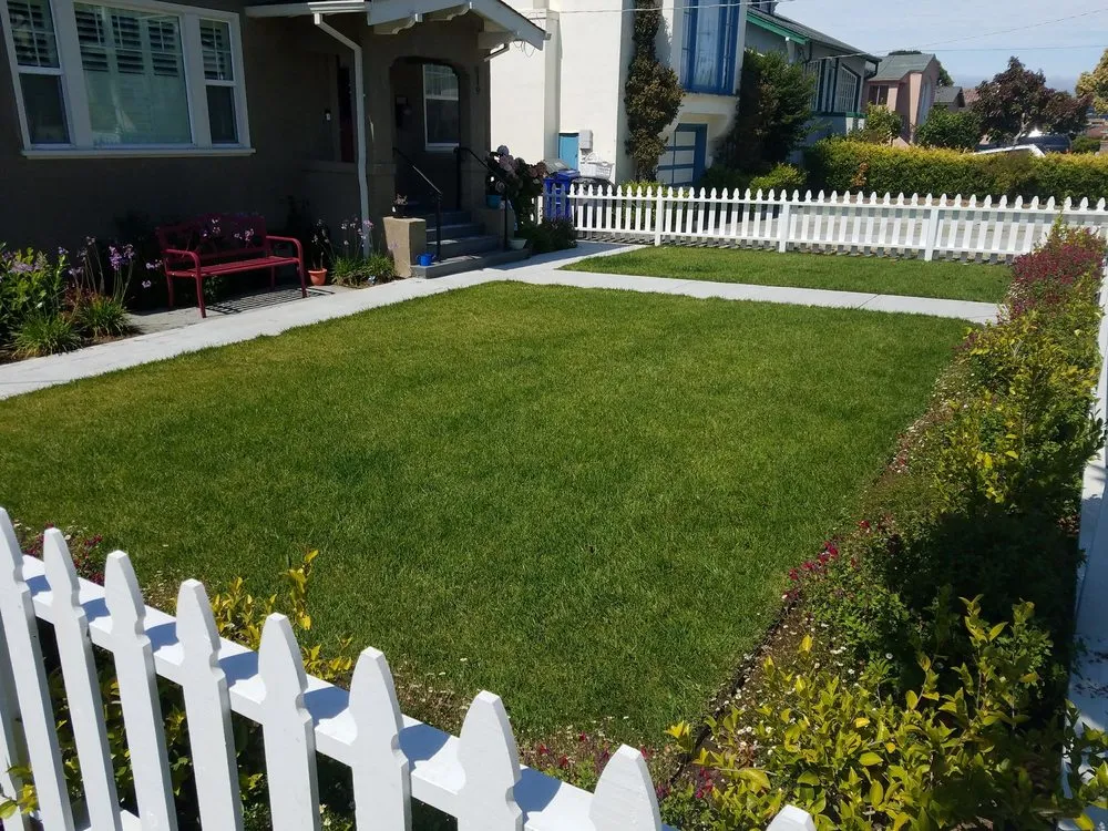 Trusted yard cleanup service for outdoor upgrades in Colma, CA by Segale & Cerini