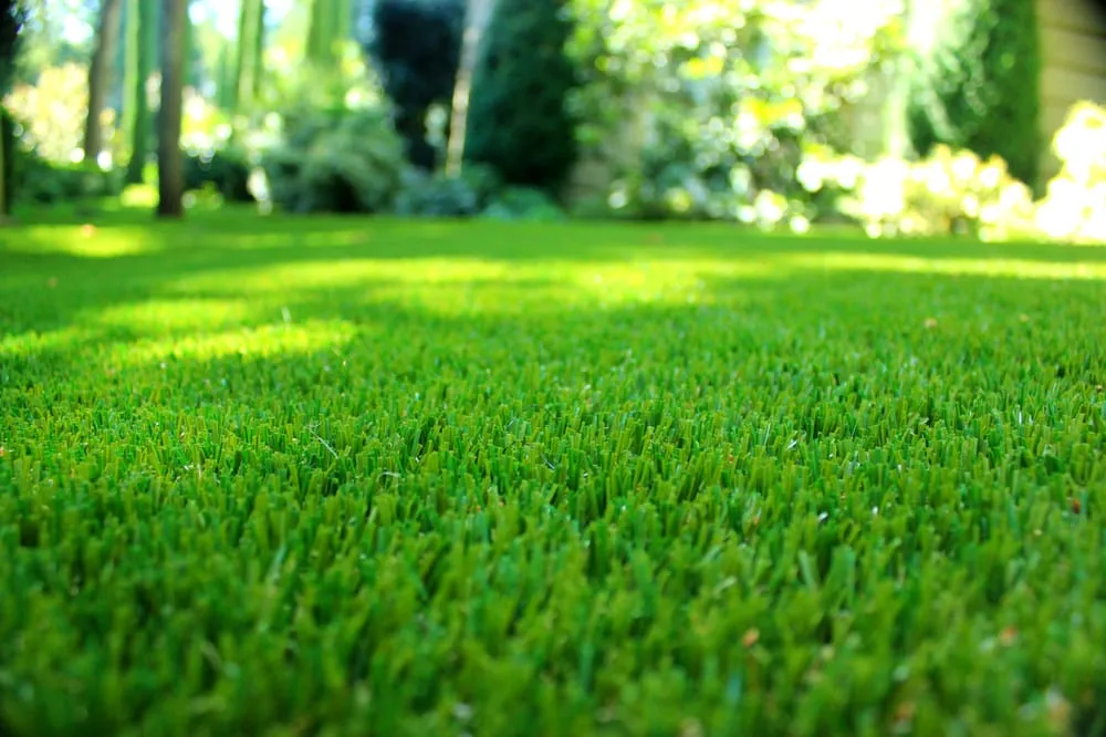 Expert landscaping services in Colma, CA by Segale & Cerini