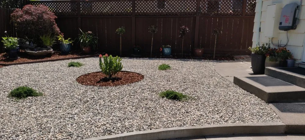Expert landscape design in Colma, CA - Segale & Cerini