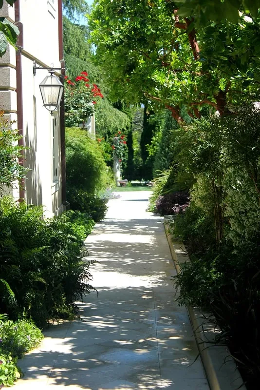 Local yard maintenance in Colma, CA by Segale & Cerini