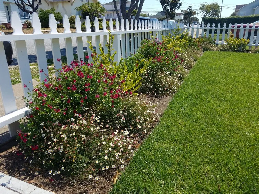 Expert landscaping services in Colma, CA by Segale & Cerini