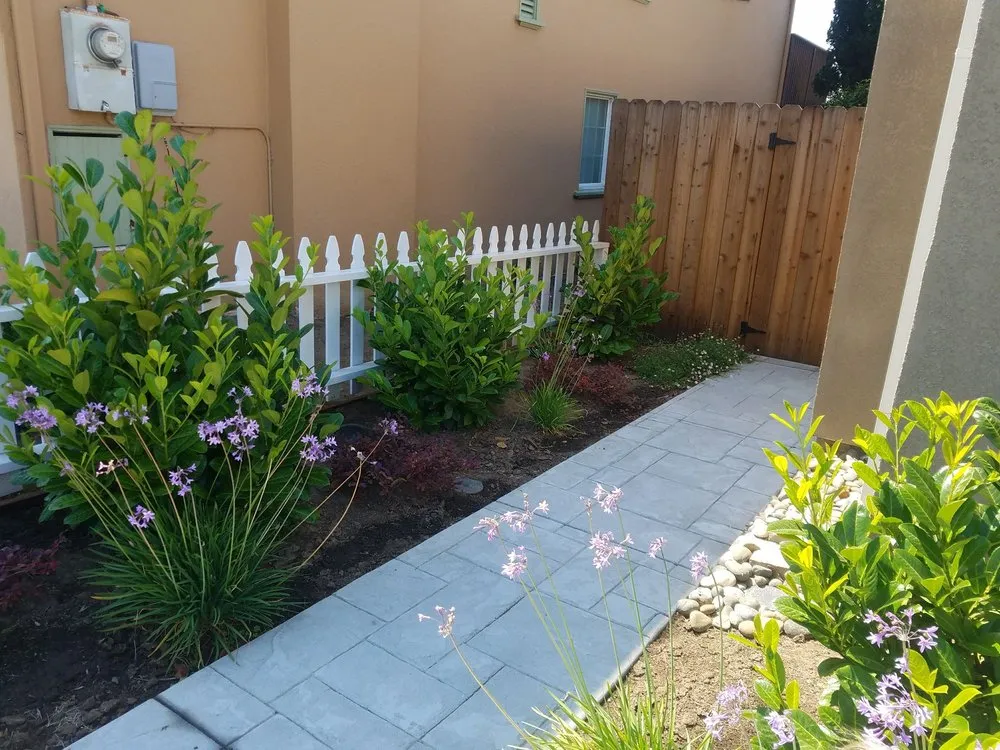 Trusted landscape installation for year-round maintenance in Colma, CA by Segale & Cerini