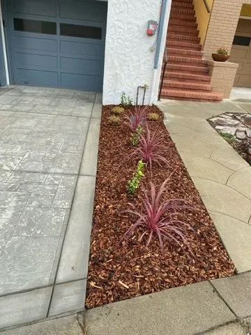 Affordable residential landscaping for year-round maintenance in Colma, CA by Segale & Cerini