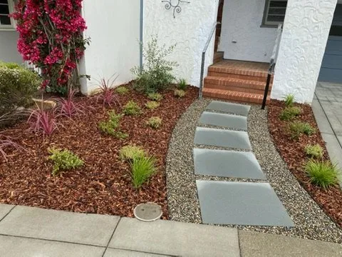 Professional yard cleanup service for year-round maintenance across Colma, CA - Segale & Cerini