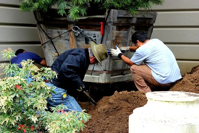 Local outdoor landscaping in Colma, CA - Segale & Cerini