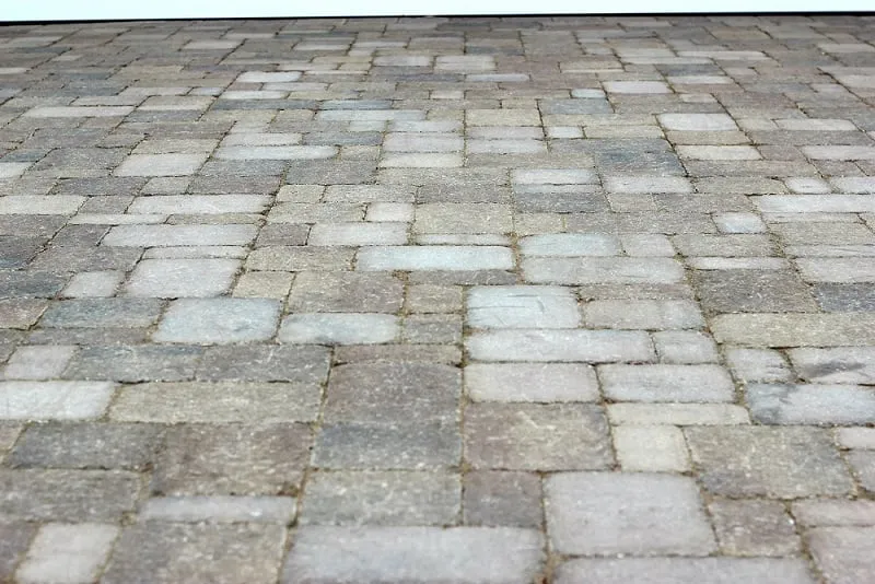 Local residential landscaping for residential properties across Colma, CA - Segale & Cerini