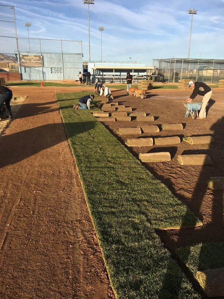 Trusted landscape design for beautiful yards in Lancaster, CA by Segale's Landscape