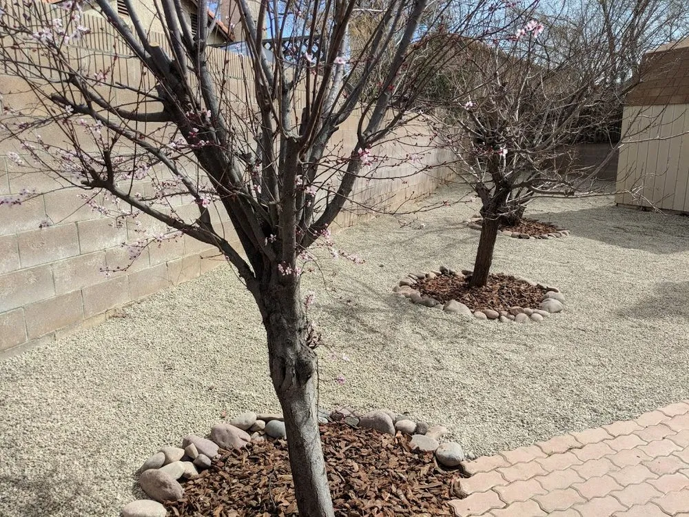 Custom garden landscaping for homes across Lancaster, CA - Segale's Landscape