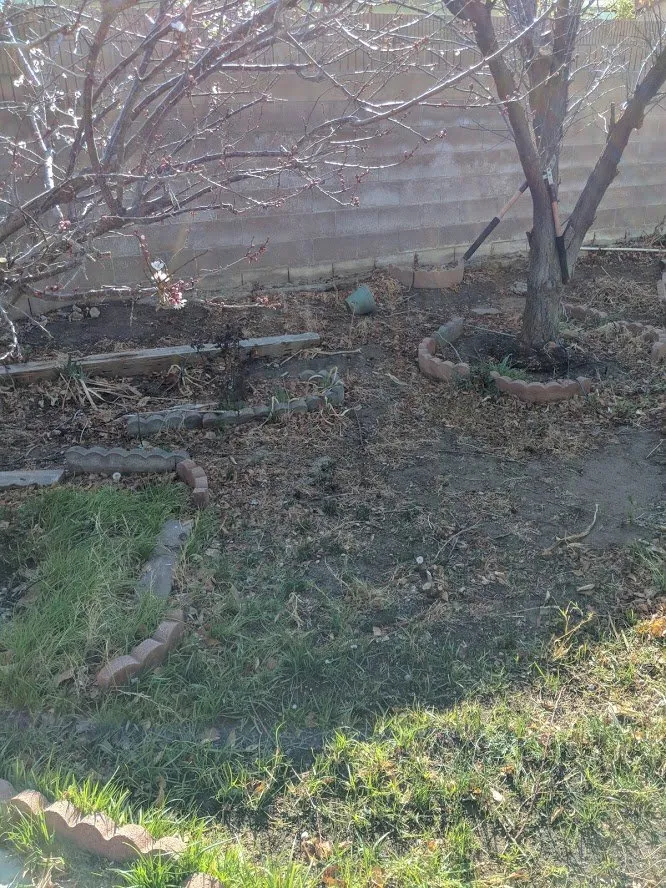 Professional lawn mowing service for beautiful yards in Lancaster, CA by Segale's Landscape