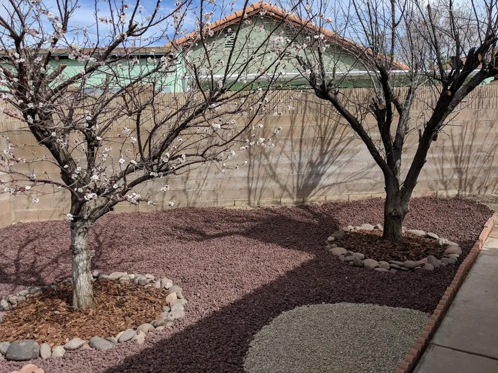 Top-rated outdoor landscaping for residential properties across Lancaster, CA - Segale's Landscape